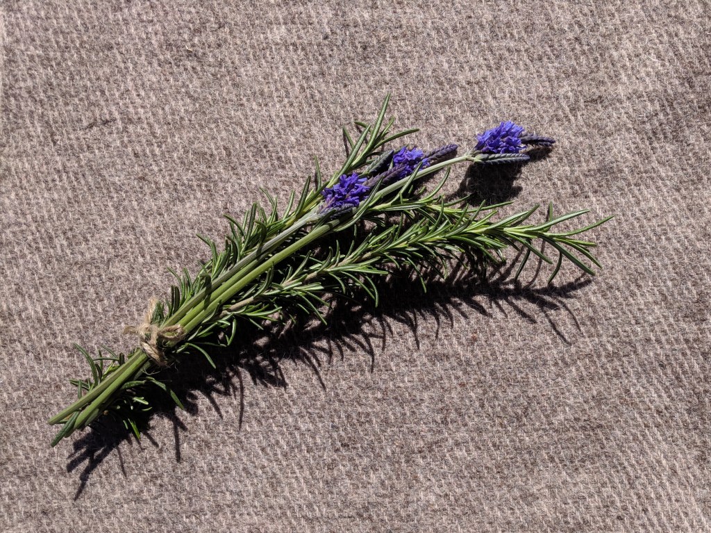 Six Spring Tips for Wool Moth&nbsp;Prevention